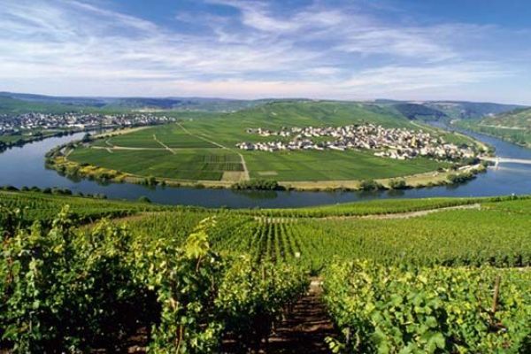 Weingut Bollig-Prüm